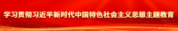 男操女逼91学习贯彻习近平新时代中国特色社会主义思想主题教育